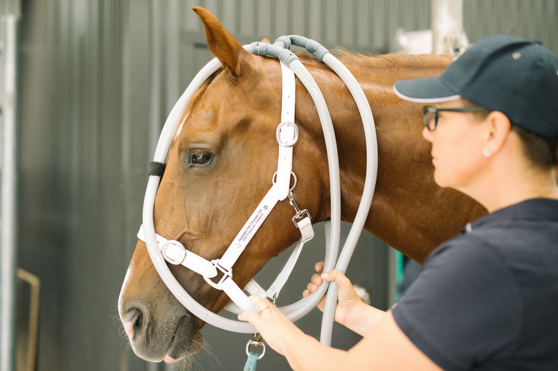 How PEMF Enhances Other Wellness Modalities